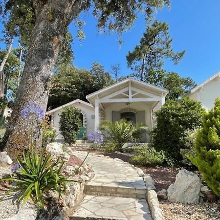 הוילה סן-ז'ורז'-דה-דידון Adorable Petite Maison A 400M De La Mer מראה חיצוני תמונה